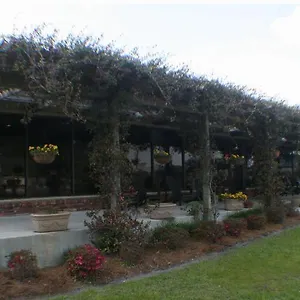 Quail Run Hotel Savannah